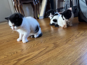 Image 1 of 19