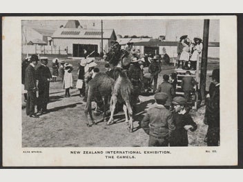 Image 1 of 1