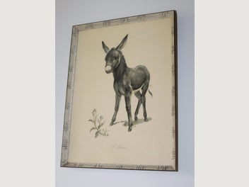 Image 1 of 14