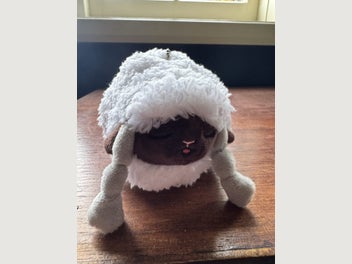 Image 1 of 5