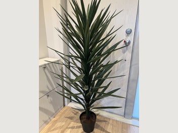 Image 1 of 7