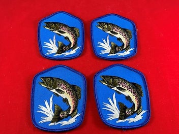 Image 1 of 5