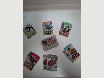 Image 1 of 1