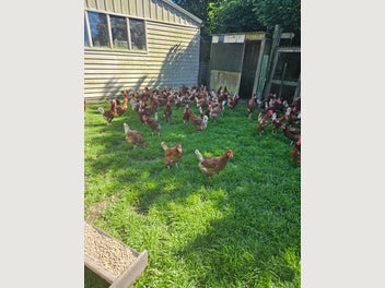 Image 1 of 8