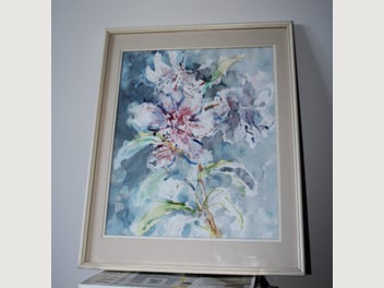 Image 1 of 20