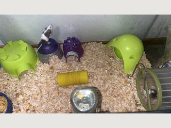 Image 1 of 2