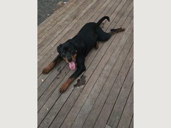 Image 1 of 10