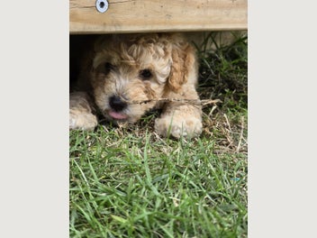 Image 1 of 13