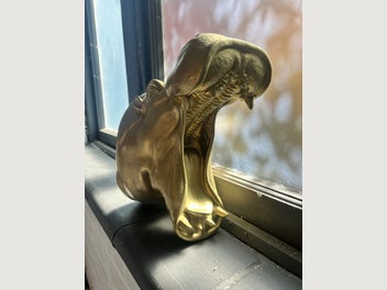 Image 1 of 7