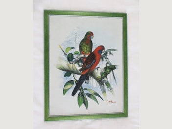 Image 1 of 7