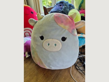 Image 1 of 4