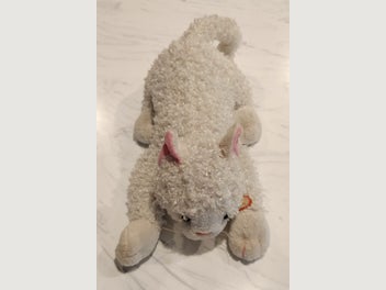 Image 1 of 7