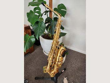 Image 1 of 6