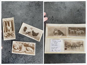 Image 1 of 5