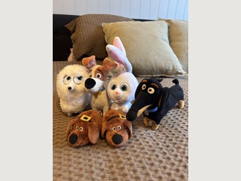 Image 1 of 1