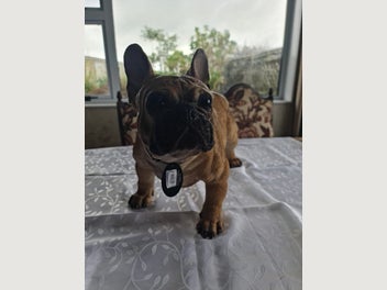 Image 1 of 4