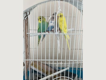 Image 1 of 7