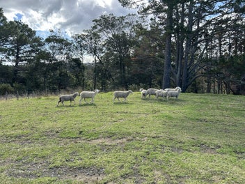 Image 1 of 3