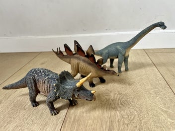 Image 1 of 7