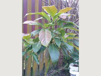 Image 1 of 5