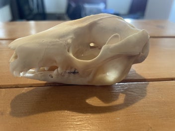 Image 1 of 3