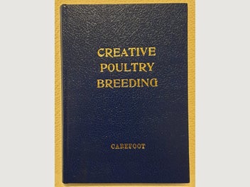 Image 1 of 20