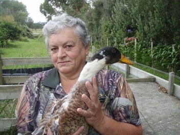 Image 1 of 2