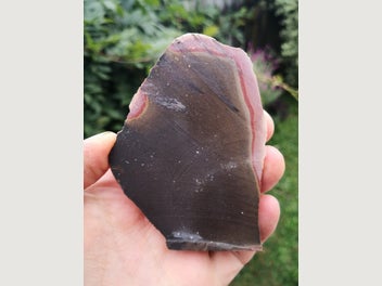 Image 1 of 8