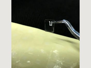 Image 1 of 8