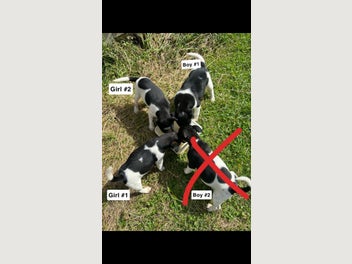 Image 1 of 6