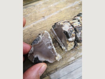 Image 1 of 19