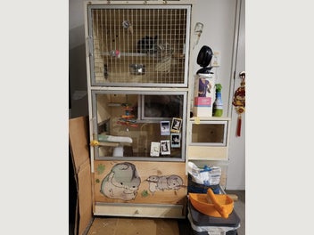 Image 1 of 2