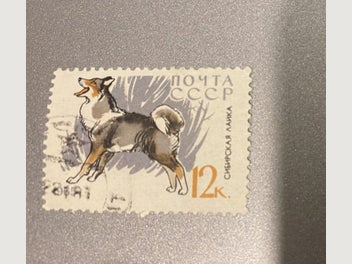 Image 1 of 1