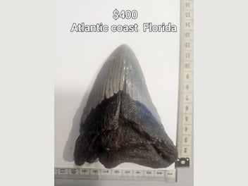 Image 1 of 11