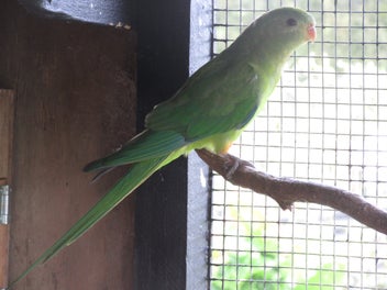Image 1 of 7