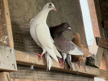 Image 1 of 3