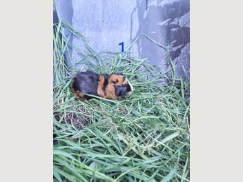 Image 1 of 6