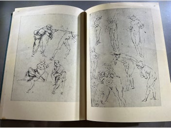 Image 1 of 12