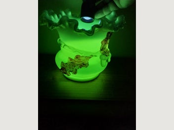 Image 1 of 7