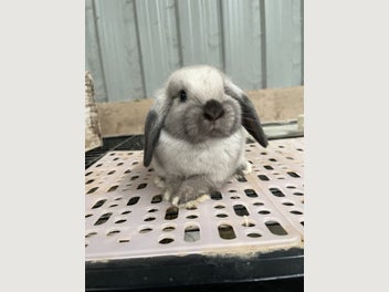 Image 1 of 6