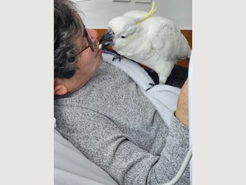 Image 1 of 4