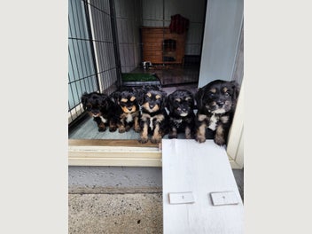 Image 1 of 15
