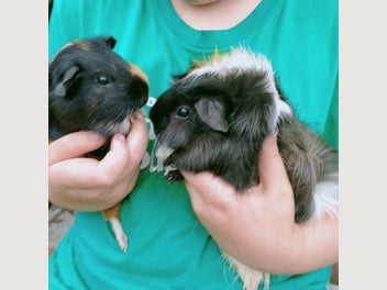 Image 1 of 5