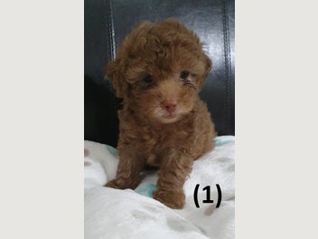 Image 1 of 3