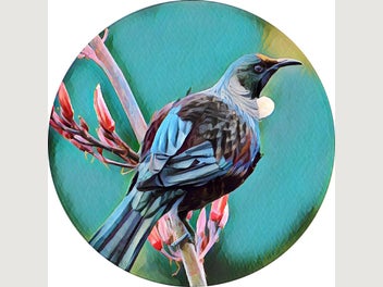 Image 1 of 4