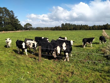 Image 1 of 5