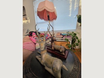 Image 1 of 13