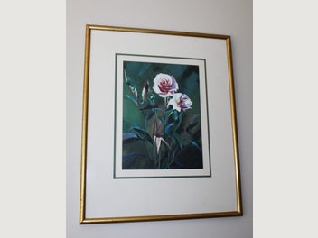 Image 1 of 19