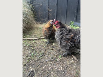 Image 1 of 14