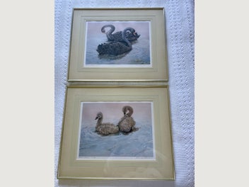 Image 1 of 13